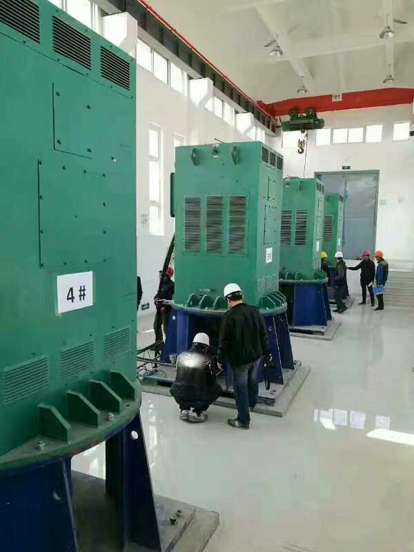 YKK6303-2GJ某污水处理厂使用我厂的立式高压电机安装现场