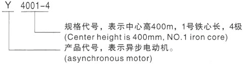 西安泰富西玛Y系列(H355-1000)高压YKK6303-2GJ三相异步电机型号说明