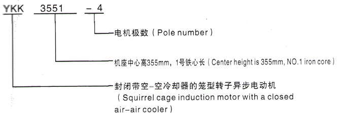 YKK系列(H355-1000)高压YKK6303-2GJ三相异步电机西安泰富西玛电机型号说明